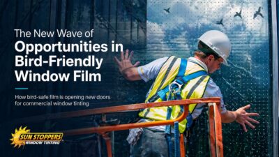 The New Wave of Opportunities in Bird-Friendly Window Film