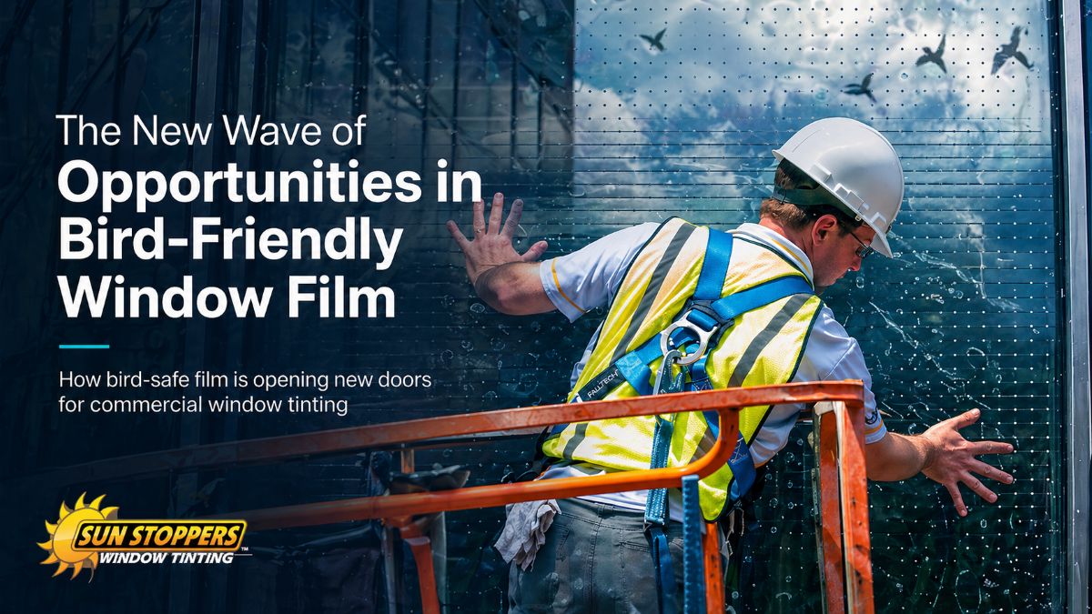 The New Wave of Opportunities in Bird-Friendly Window Film